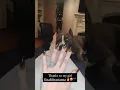 paige wwe barefoot from her instagram stories