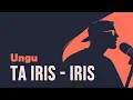 Lagu Ungu - Ta iris iris | Cover | Faldiansyah