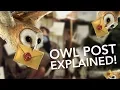 Harry Potter Theory Why Wizards Use Owl Post Explained