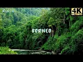 Download Lagu BORNEO | 4K