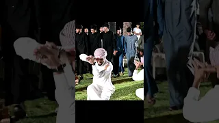 لون البرطم رماني الفنان وليد العيساوي 