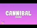 Download Lagu Kesha - Cannibal