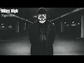 Tigerskin - Miles High