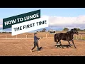 Lagu How To Lunge A Horse For The First Time