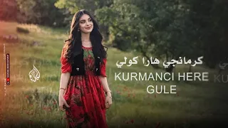 اجمل اغنية كردية   كرمانجي هارا كولي                        ترند تيك توك مطلوبة أكثر شي      دندنها