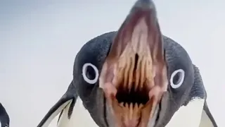 Dancin Meme Song By Aaron Smith  Dancin Meme Song By Aaron Smith