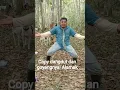 Download Lagu Copi dangdut dan goyangnya#asyik #lucu #unik #ngakak