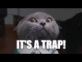 WebM Smoking Memes It s a Trap