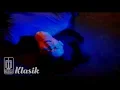 Download Lagu Sahara - Biarlah Sepi (Official Karaoke Video)
