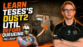 TeSeS CS2 utility guide thumbnail