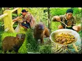 Lagu BERBURU GARANGAN || POINNYA LANGSUNG DI MASAK RICA-RICA SUPER PEDAS