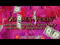 ❗ XT-01 MONEY MAGNET ❗   EXTREME WEALTH & LUXURY LIFE Subliminal Affirmations 💸