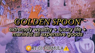 XT-01 MONEY MAGNET EXTREME WEALTH LUXURY LIFE Subliminal Affirmations