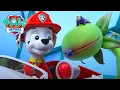 Marshall bertarung melawan tanaman pemangsa raksasa! 🌱 | PAW Patrol | Episode Indonesia | Kompilasi