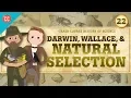 Darwin and Natural Selection Crash Course History of Science