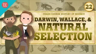 Download Darwin and Natural Selection: Crash Course History of Science #22 MP3