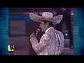 ✅Vicente Fernández - Por tu maldito amor ( HD ) 15 Grandes de Siempre en Domingo