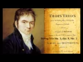 Beethoven - String Trio No. 3, Op. 9, No. 2 (1798)