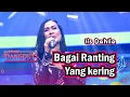 Download Lagu Bagai Ranting Yang Kering - Iis Dahlia | STUDIO DANGDUT