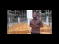 Download Lagu EYKNAKARI