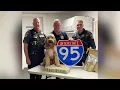 Nash County Drug Bust