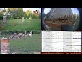 Download Lagu 2025/8/29 Back Yard Honey Bee Buzz, Birds, Traffic \u0026 More Sounds - Indianapolis, IN
