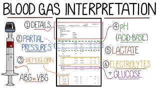 Blood Gas Interpretation Made Easy Learn How To Interpret Blood Gases In 11 Minutes 