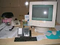 Palm Tungsten E2