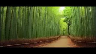 ناصر المزداوى  مشينا ياما مشينا يامابكينا يامراينا                             دندنها