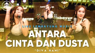 antara cinta dan dusta diva hani live lembayung music 