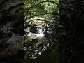 Download Lagu Di mana Anda akan mendengarkan suara ini: jauh di dalam hutan atau di sudut yang tenang di rumah Anda?