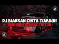 Download Lagu DJ BIARKAN CINTA TUMBUH SEBISANYA || DJ KARNA SU SAYANG JEDAG JEDUG MENGKANE VIRAL TIKTOK