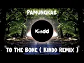 Download Lagu Pamungkas - To The Bone ( Kindd Remix ) [ EDM ] [ Progressive House ]