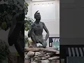 PLANTS ARE DYING AT A DEAD MALL