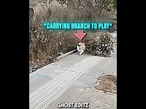 Unexpected Prank 💀
