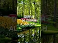 Download Lagu 05 SURAH AL-MAIDAH 87-88 urdu translation short part-46 #allah #quran #islam #surahmaidah #shorts