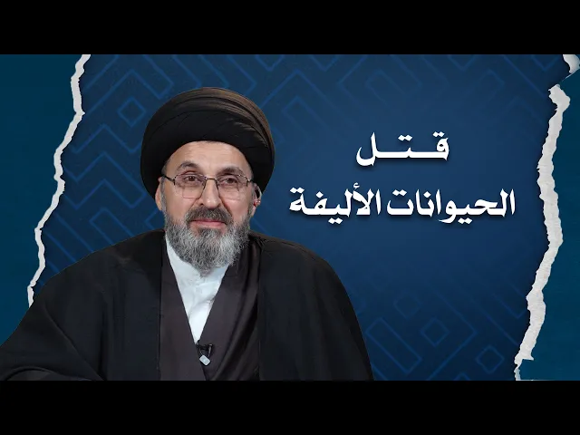 ⁣قتلت قطة وتسأل عن الحكم الشرعي