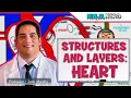 Download Lagu Cardiovascular | Structures and Layers of the Heart