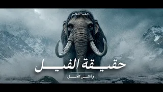 أسرار عالم الفيل كاملة ماذا يخفي العملاق المخيف وثائقي 