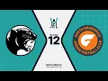 2026 YJFL U15 Boys 2 Round 12 Surrey Park v North Brunswick