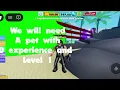 Muscle legend -How to easily glitch pets
