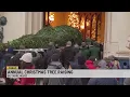 Annual Christmas tree raising at the Biltmore