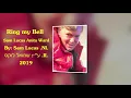 Ring my Bell, Sam Lucas, Anita Ward, ע"י: שמואל לוקס, By: Sam Lucas NL, 2019