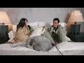 Voici ma personne : l'histoire de Sarah et Adam