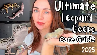 The Ultimate LEOPARD GECKO Care Guide 2025