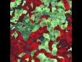 Generating visuals with processing Worms