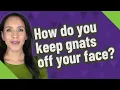 How do you keep gnats off your face