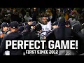 Domingo German throws a perfect game a breakdown