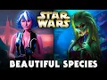 TOP 10 Most Beautiful Species in Star Wars PART 1 2