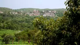 انشودة يمنية روعة يا شجوني 